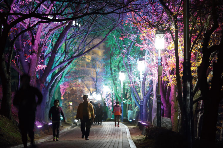 경주의 랜드마크와 보문호 둘레길